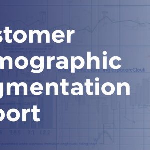 Customer Demographic Segmentation Report